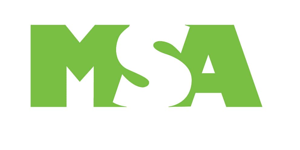 Management Student Association (MSA)