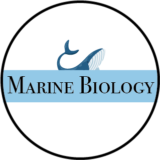 Marine Biology Club